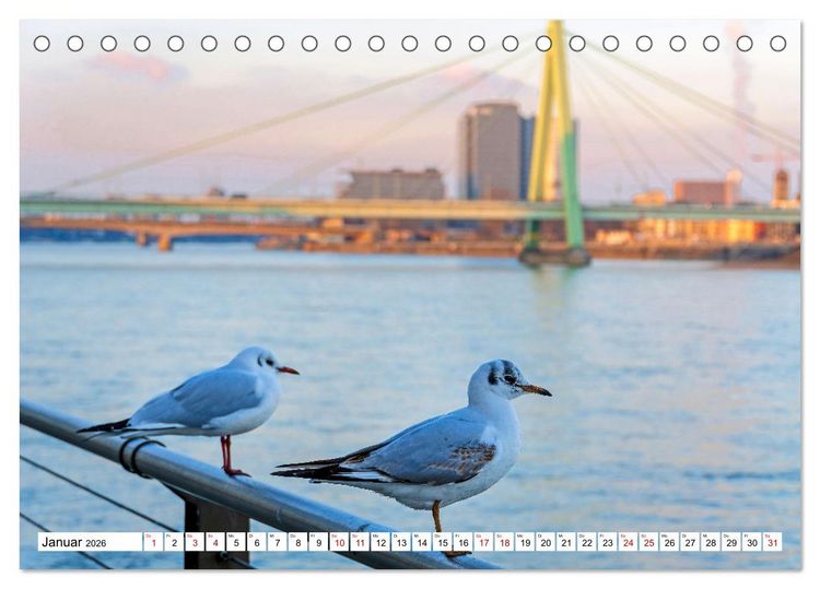 Produktbild: K&ouml;ln - Facetten einer Stadt (Tischkalender 2026 DIN A5 quer), CALVENDO Monatskalender