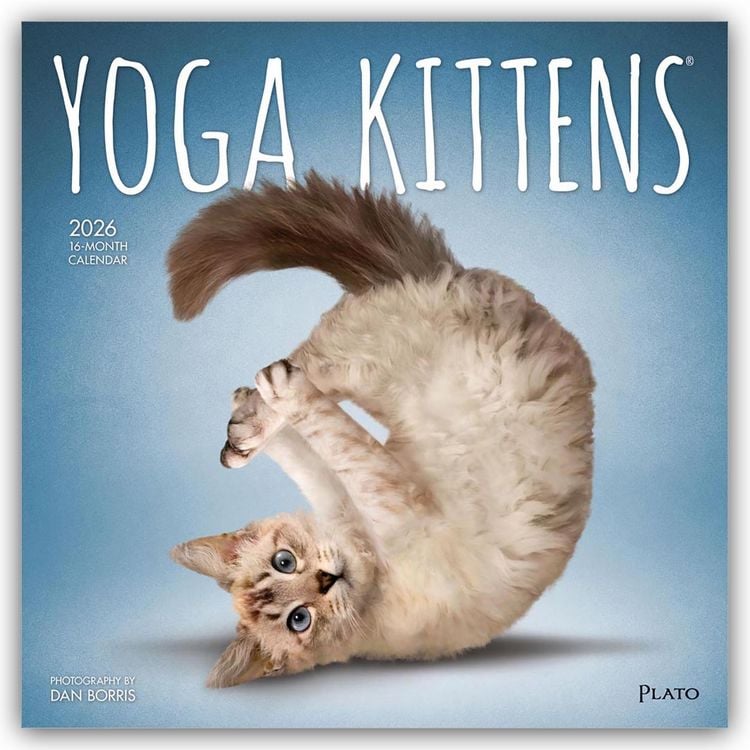 Produktbild: Yoga Kittens – Kätzchen Yoga 2026 – 16-Monatskalender