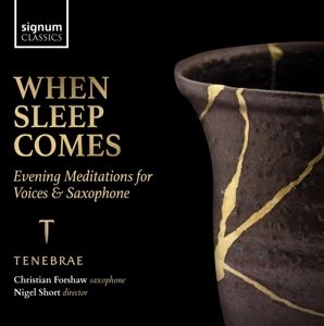 Produktbild: When Sleep comes-Lieder