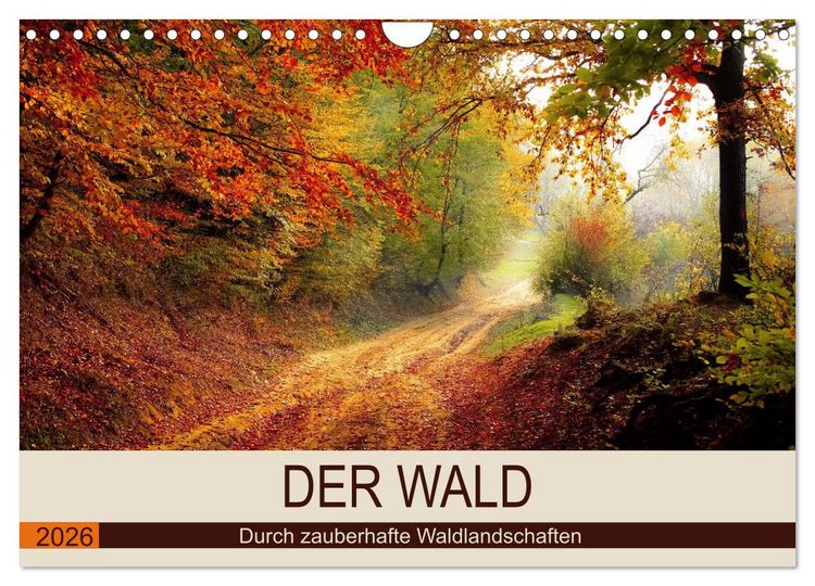 Produktbild: Der Wald. Durch zauberhafte Waldlandschaften (Wandkalender 2026 DIN A4 quer), CALVENDO Monatskalender