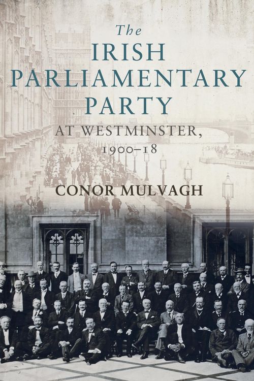 Produktbild: The Irish Parliamentary Party at Westminster, 1900-18