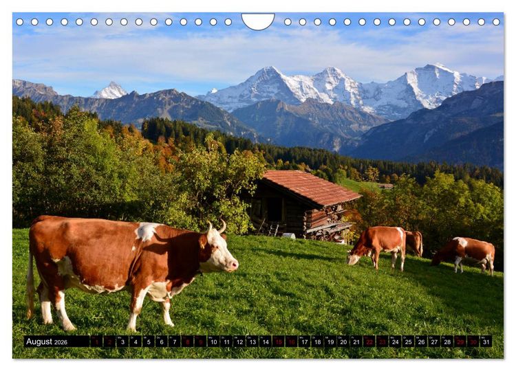 Produktbild: Eiger, M&ouml;nch und Jungfrau 2026 (Wandkalender 2026 DIN A4 quer), CALVENDO Monatskalender