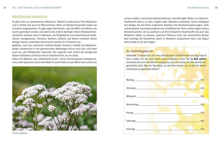 Produktbild: Lichtbaden
