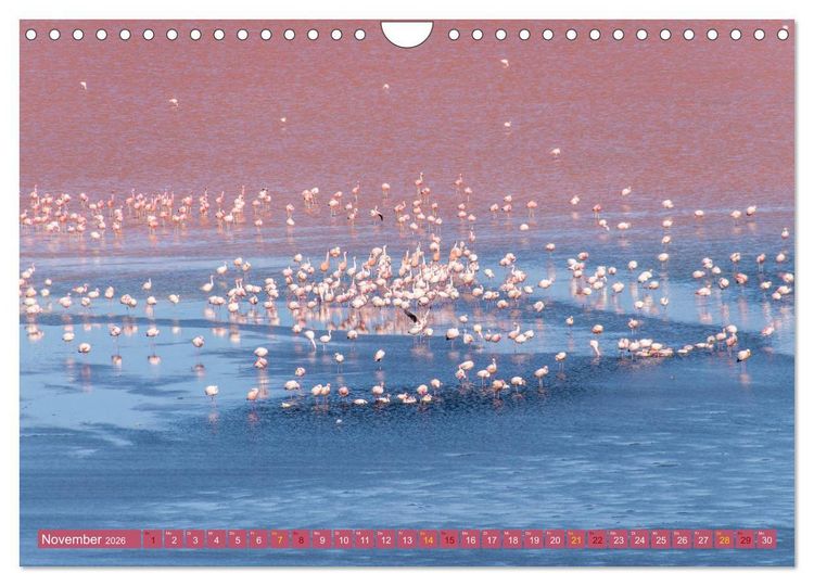 Produktbild: Farbenfrohes Bolivien (Wandkalender 2026 DIN A4 quer), CALVENDO Monatskalender