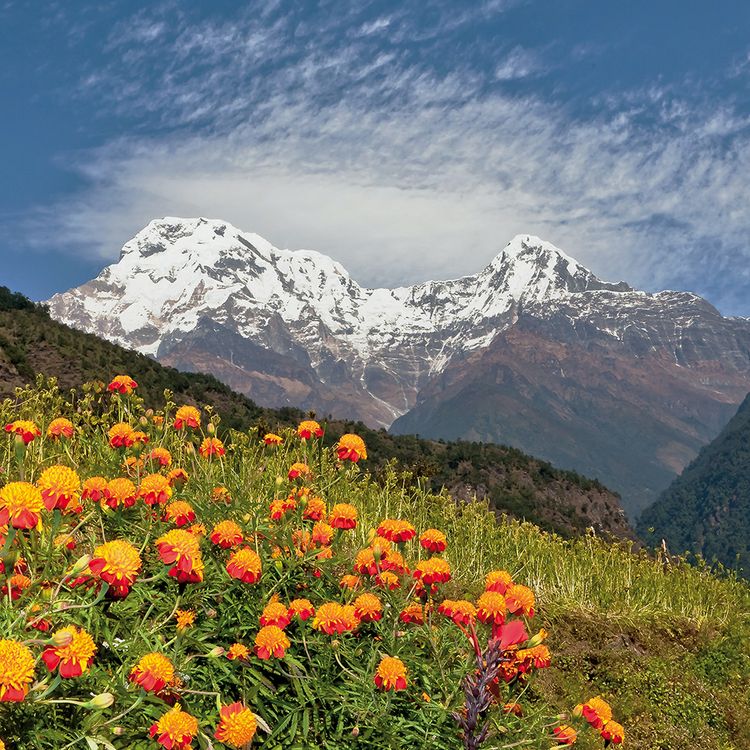 Produktbild: Himalaya 2024