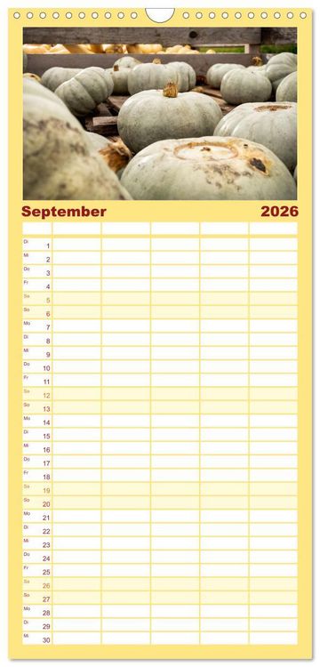 Produktbild: Familienplaner 2026 - K&Uuml;RBIS KALENDER - Die sch&ouml;nsten K&uuml;rbisse des Jahres mit 5 Spalten (Wandkalender, 21 x 45 cm) CALVENDO