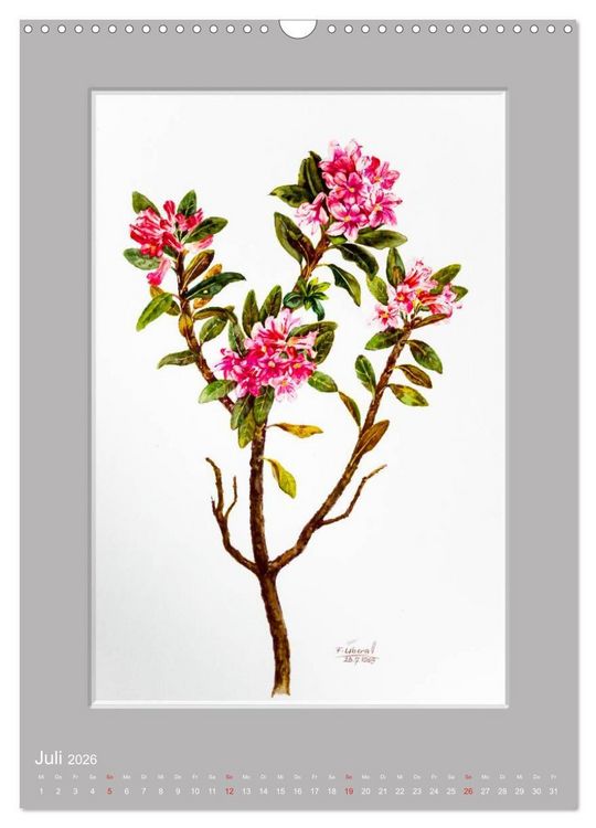 Produktbild: Alpenblumen Aquarelle aus Tirol (Wandkalender 2026 DIN A3 hoch), CALVENDO Monatskalender