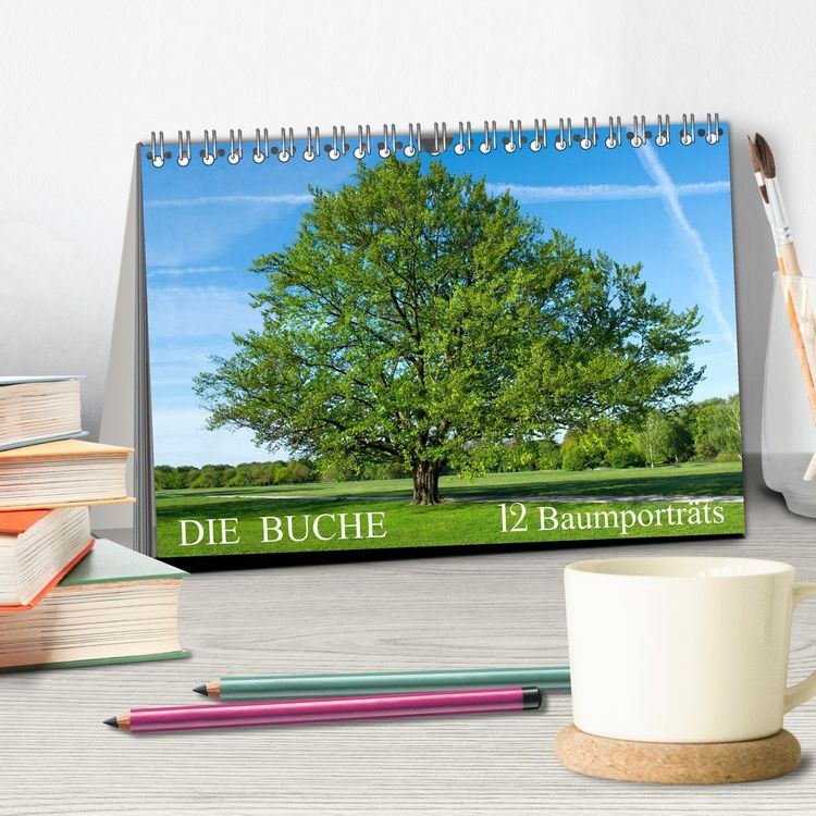 Produktbild: Die Buche: 12 Baumportr&auml;ts (Tischkalender 2026 DIN A5 quer), CALVENDO Monatskalender