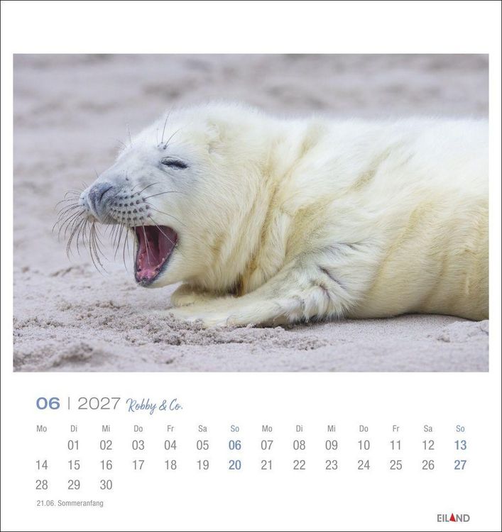 Produktbild: Robby & Co. Postkartenkalender 2027