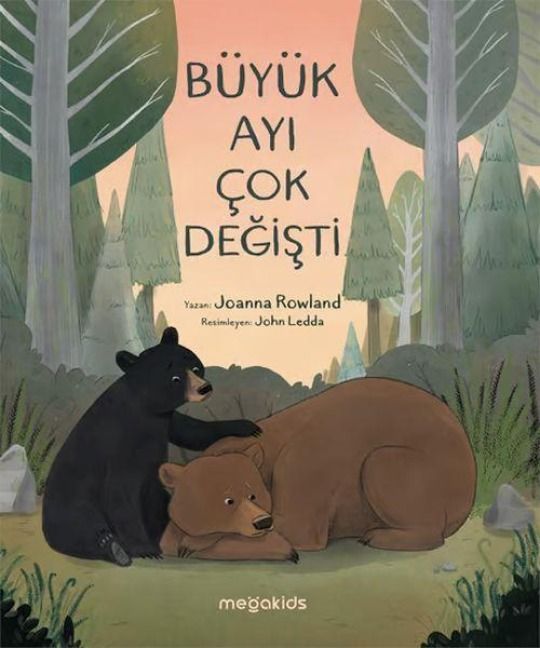 Produktbild: B&uuml;y&uuml;k Ayi Cok Degisti