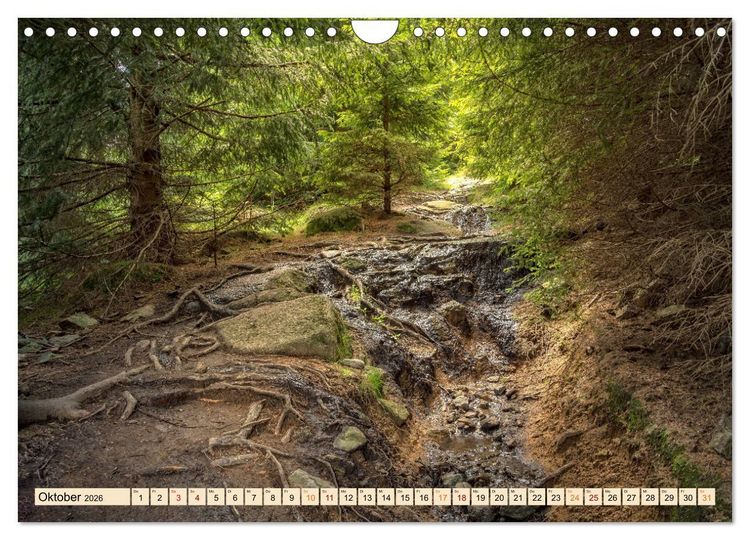 Produktbild: Harz - Urlaub (Wandkalender 2026 DIN A4 quer), CALVENDO Monatskalender