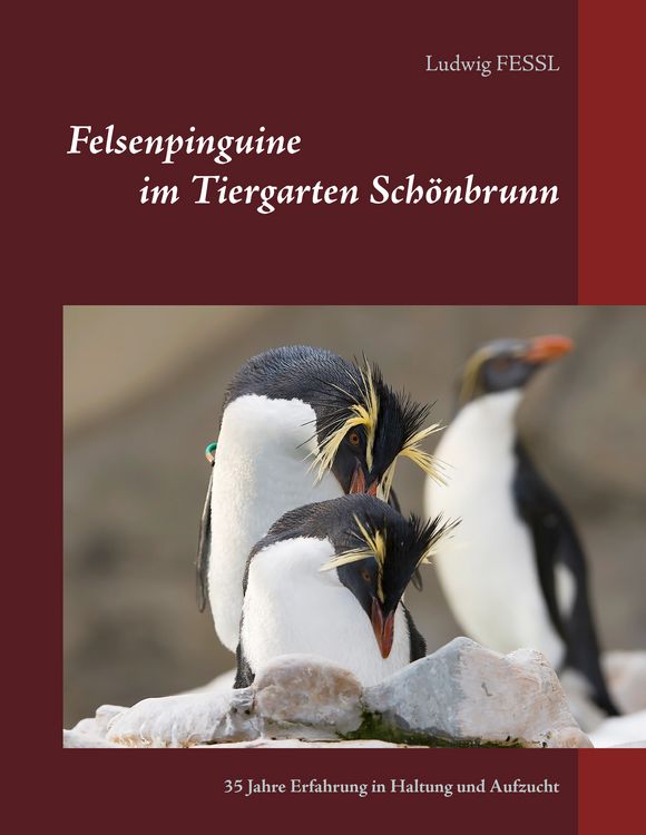 Produktbild: Felsenpinguine im Tiergarten Sch&ouml;nbrunn