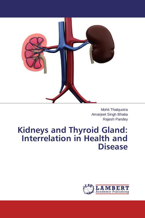 Produktbild: Kidneys and Thyroid Gland: Interrelation in Health and Disease