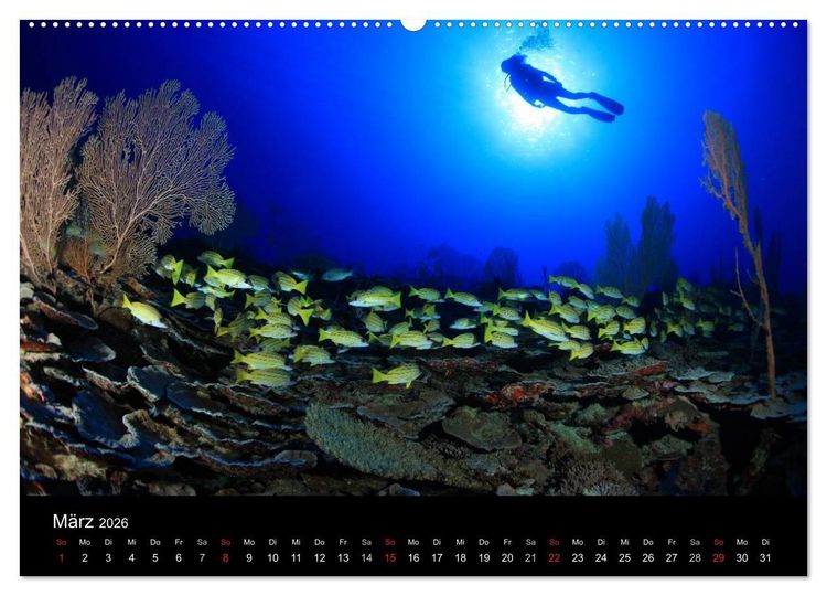 Produktbild: Magische Unterwasserwelten (Wandkalender 2026 DIN A2 quer), CALVENDO Monatskalender