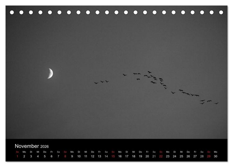 Produktbild: BLACK 'N WHITE (Tischkalender 2026 DIN A5 quer), CALVENDO Monatskalender