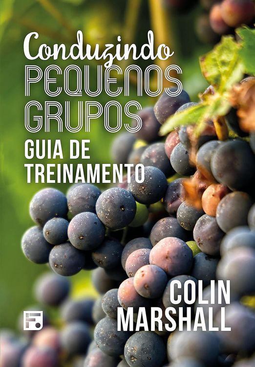 Produktbild: Conduzindo pequenos grupos