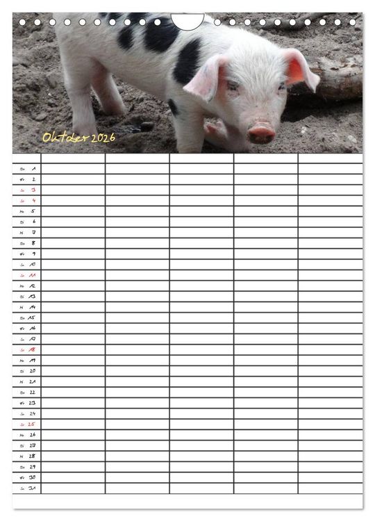 Produktbild: Bauernhoftiere Familienplaner (Wandkalender 2026 DIN A4 hoch), CALVENDO Monatskalender