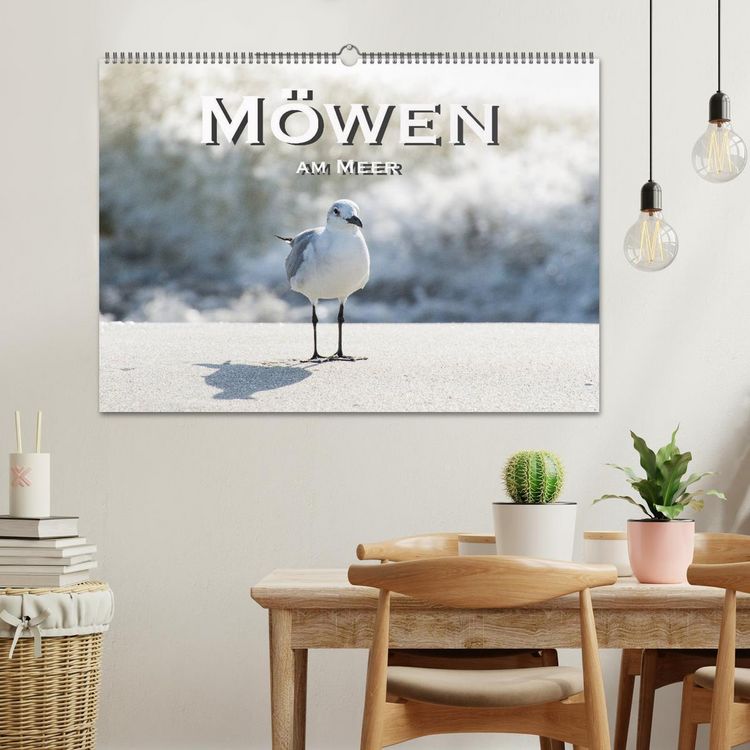 Produktbild: M&ouml;wen am Meer (Wandkalender 2026 DIN A2 quer), CALVENDO Monatskalender