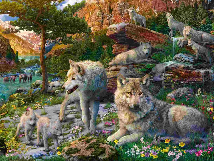 Produktbild: Erwachsenenpuzzle 1500 Teile - Wolfsrudel im Fr&uuml;hlingserwachen