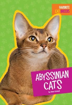 Produktbild: Abyssinian Cats