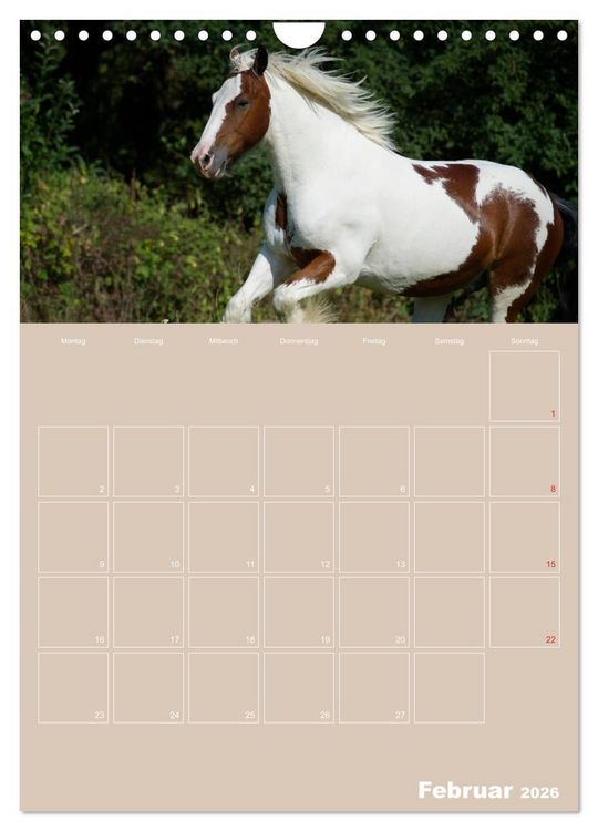 Produktbild: Pferde / Planer (Wandkalender 2026 DIN A4 hoch), CALVENDO Monatskalender