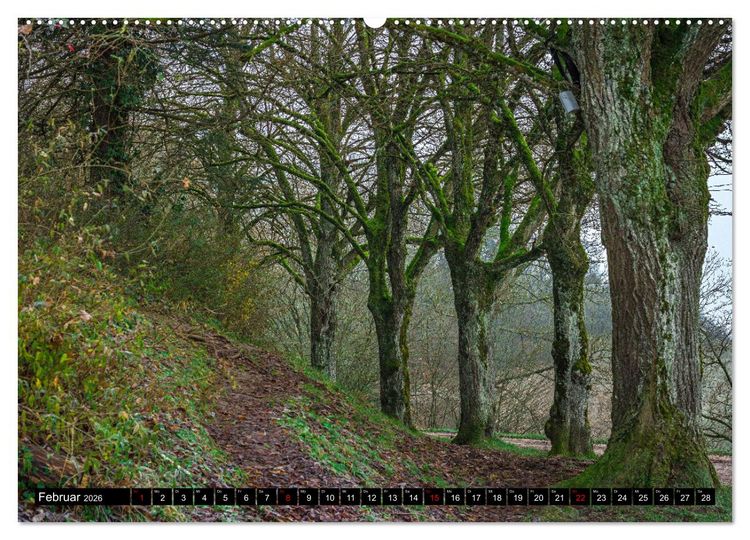 Produktbild: Herbst rund um den Bodensee (hochwertiger Premium Wandkalender 2026 DIN A2 quer), Kunstdruck in Hochglanz