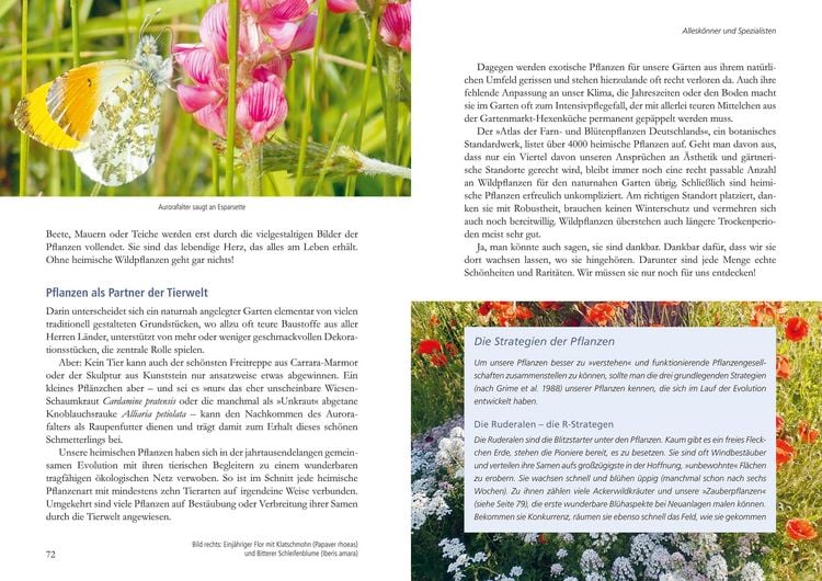 Produktbild: Mein Garten wird ein Naturgarten
