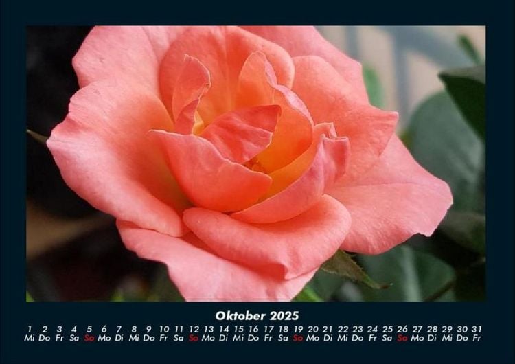 Produktbild: Blumentr&auml;ume 2025 Fotokalender DIN A4
