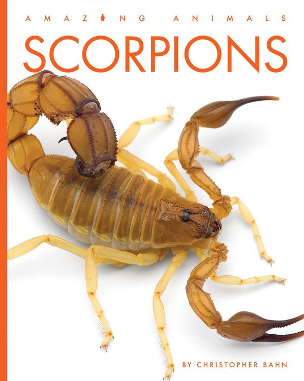 Produktbild: Scorpions
