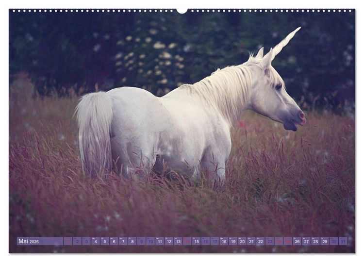 Produktbild: Einhorn Love - Fantasiewelt (hochwertiger Premium Wandkalender 2026 DIN A2 quer), Kunstdruck in Hochglanz