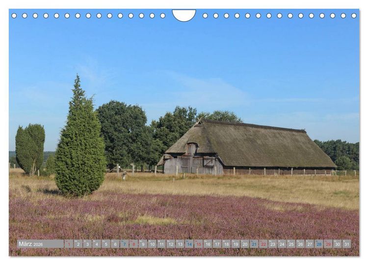 Produktbild: L&uuml;neburger Heide - Faszinierend sch&ouml;n (Wandkalender 2026 DIN A4 quer), CALVENDO Monatskalender