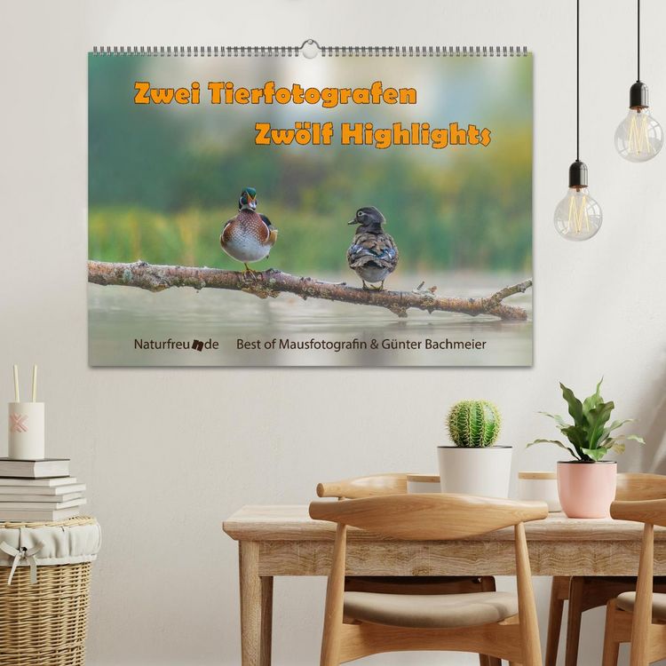 Produktbild: Zwei Tierfotografen Zw&ouml;lf Highlights (Wandkalender 2026 DIN A2 quer), CALVENDO Monatskalender