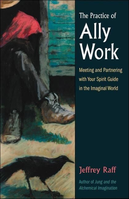 Produktbild: The Practice of Ally Work