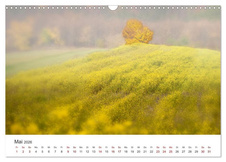 Produktbild: B&auml;ume - Gelebtes Leben (Wandkalender 2026 DIN A3 quer), CALVENDO Monatskalender