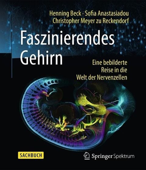 Produktbild: Faszinierendes Gehirn