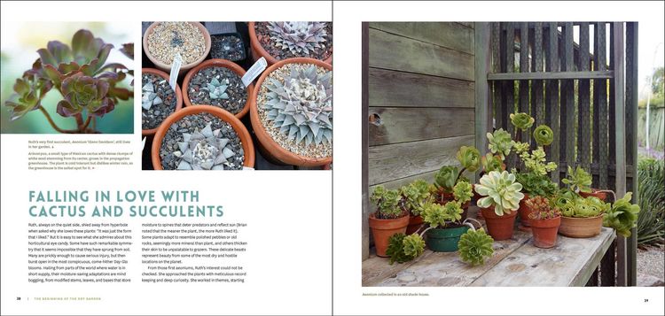 Produktbild: The Bold Dry Garden