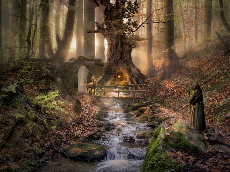 Produktbild: CALVENDO Puzzle W&auml;chter des Waldes | 1000 Teile Lege-Gr&ouml;&szlig;e 64x48cm Foto-Puzzle f&uuml;r gl&uuml;ckliche Stunden
