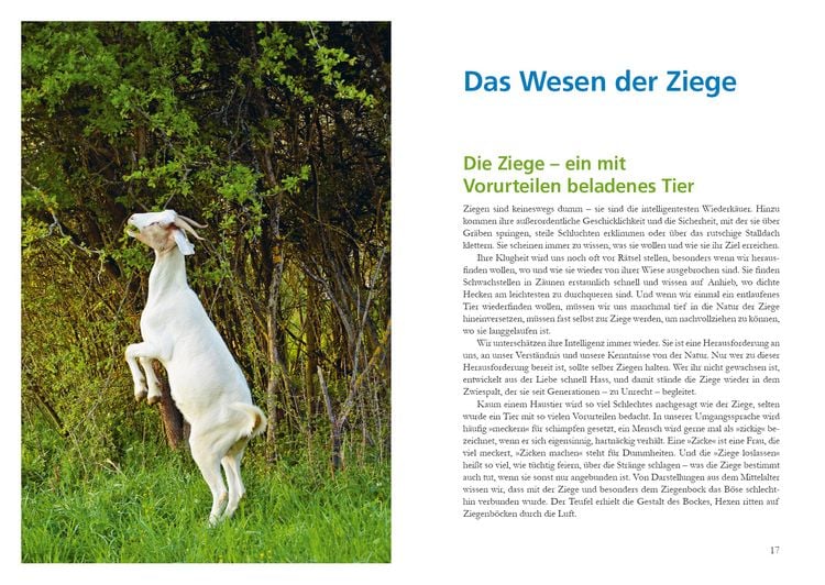 Produktbild: Alles f&uuml;r die Ziege
