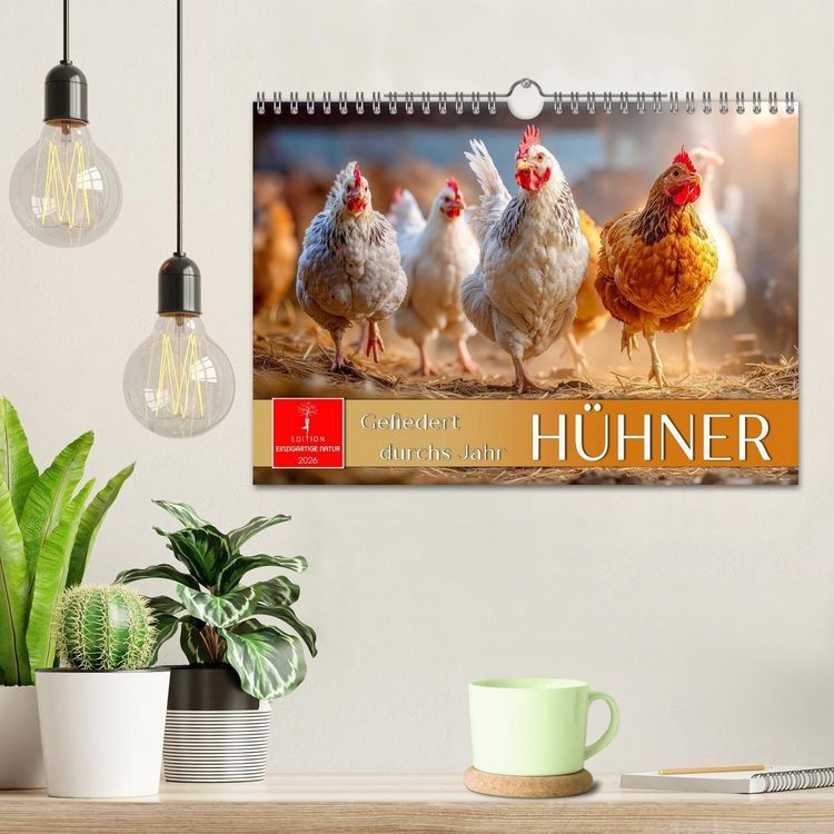 Produktbild: H&uuml;hner - gefiedert durchs Jahr (Wandkalender 2026 DIN A4 quer), CALVENDO Monatskalender