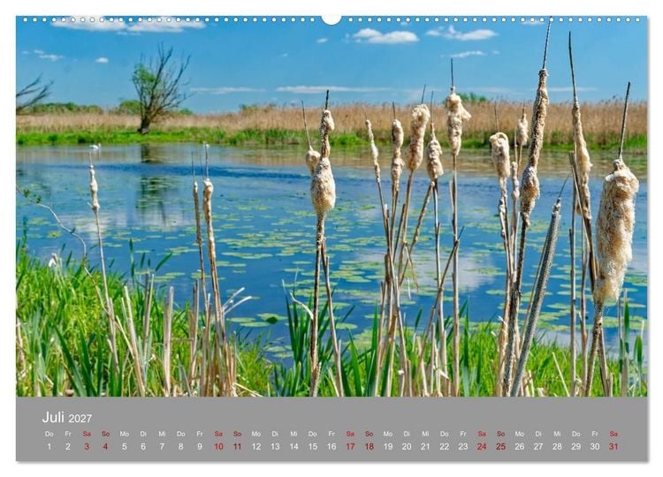 Produktbild: Nationalpark Unteres Odertal (Wandkalender 2027 DIN A2 quer), CALVENDO Monatskalender