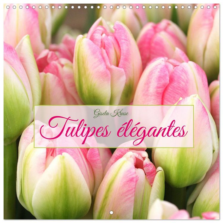 Produktbild: Tulipes &eacute;l&eacute;gantes (Calendrier mural carr&eacute; 2026 30x30 cm) Calendrier double avec une page pour vos prises de notes