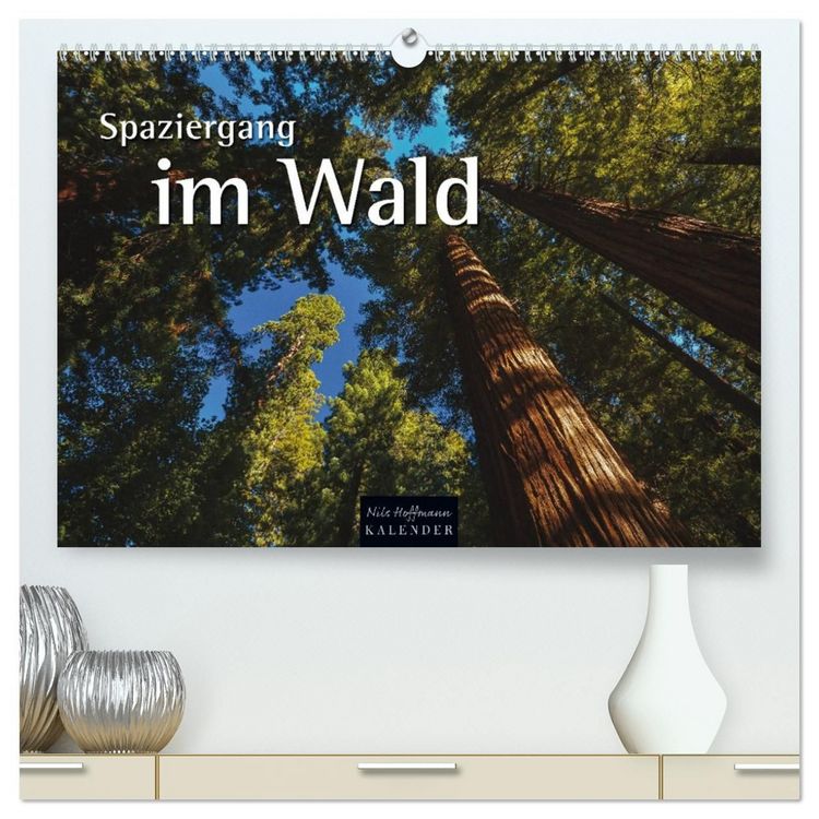 Produktbild: Spaziergang im Wald (hochwertiger Premium Wandkalender 2027 DIN A2 quer), Kunstdruck in Hochglanz