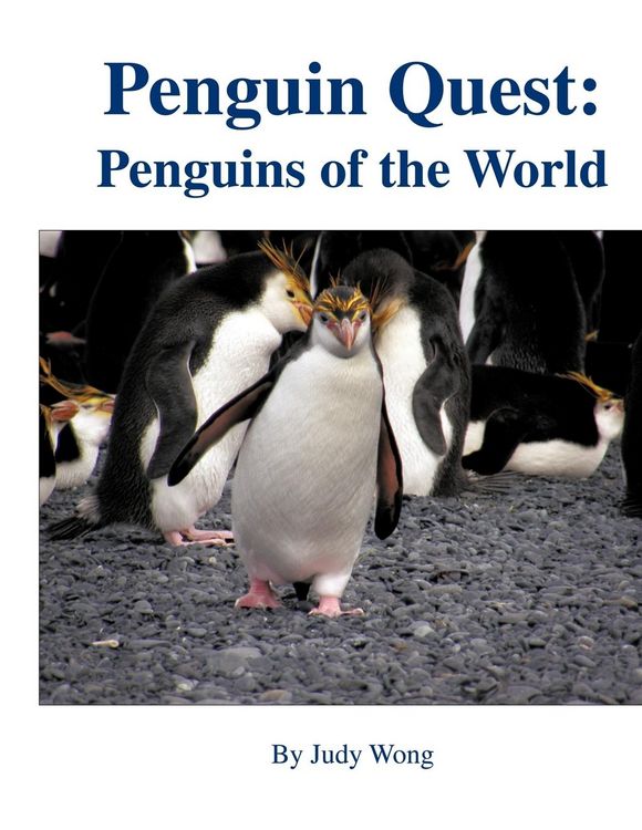 Produktbild: Penguin Quest