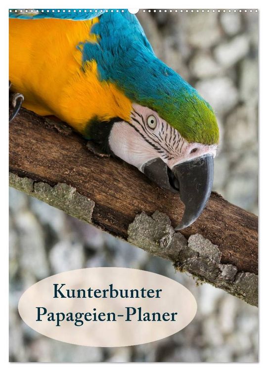 Produktbild: Kunterbunter Papageien-Planer (Wandkalender 2026 DIN A2 hoch), CALVENDO Monatskalender