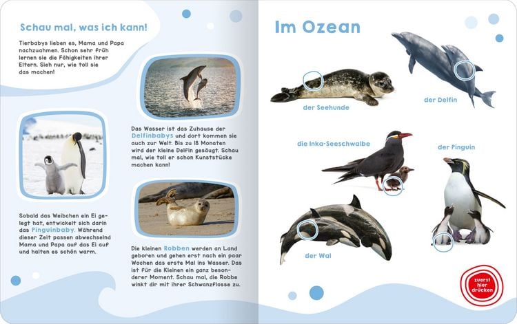 Produktbild: Mein gro&szlig;es Ger&auml;uschebuch &ndash; Tierbabys