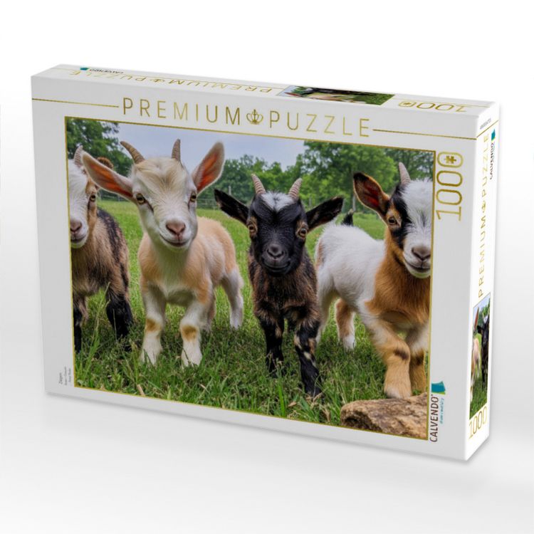 Produktbild: CALVENDO Puzzle Ziegen | 1000 Teile Lege-Gr&ouml;&szlig;e 64x48cm Foto-Puzzle f&uuml;r gl&uuml;ckliche Stunden