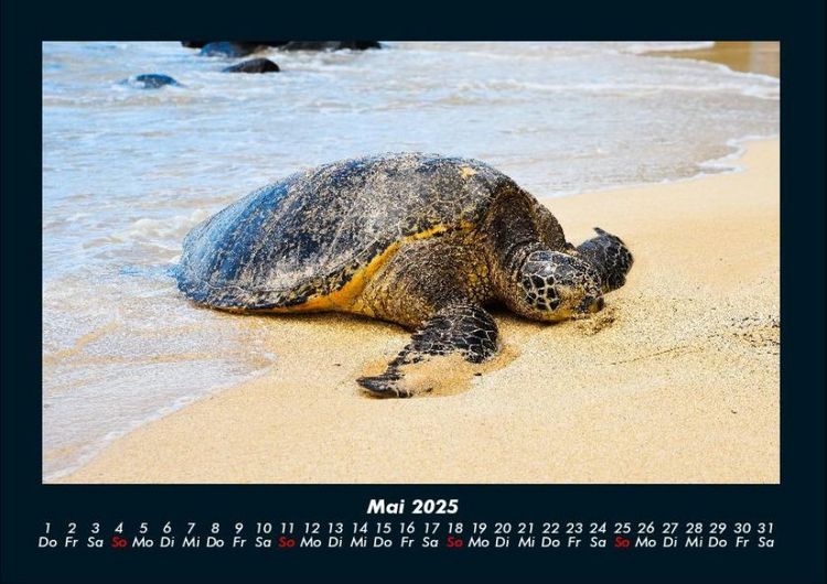 Produktbild: Str&auml;nde der Welt 2025 Fotokalender DIN A4
