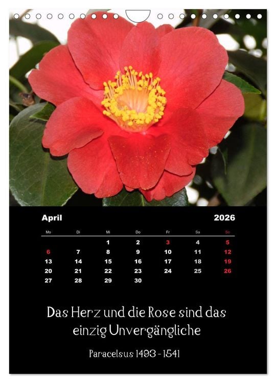 Produktbild: Spr&uuml;che und Zitate ber&uuml;hmter Personen &uuml;ber Blumen und Natur (Wandkalender 2026 DIN A4 hoch), CALVENDO Monatskalender
