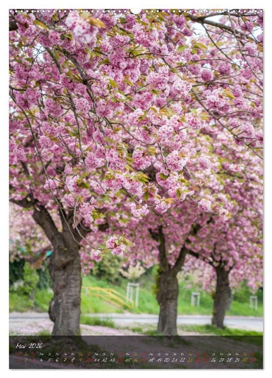Produktbild: Romantisches H&uuml;ckelhoven (hochwertiger Premium Wandkalender 2026 DIN A2 hoch), Kunstdruck in Hochglanz