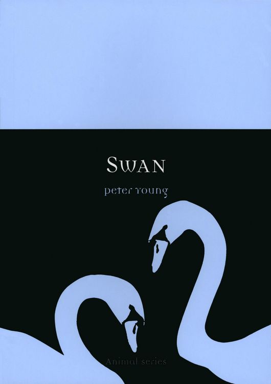 Produktbild: Swan